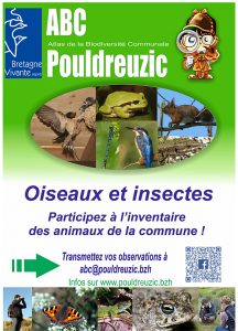 Exposition "oiseaux et insectes"